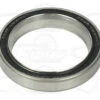 Chris-king Chris King Ceramic Rear Hubshell Bearing - Large (For All Chris King Hubs Except R45)