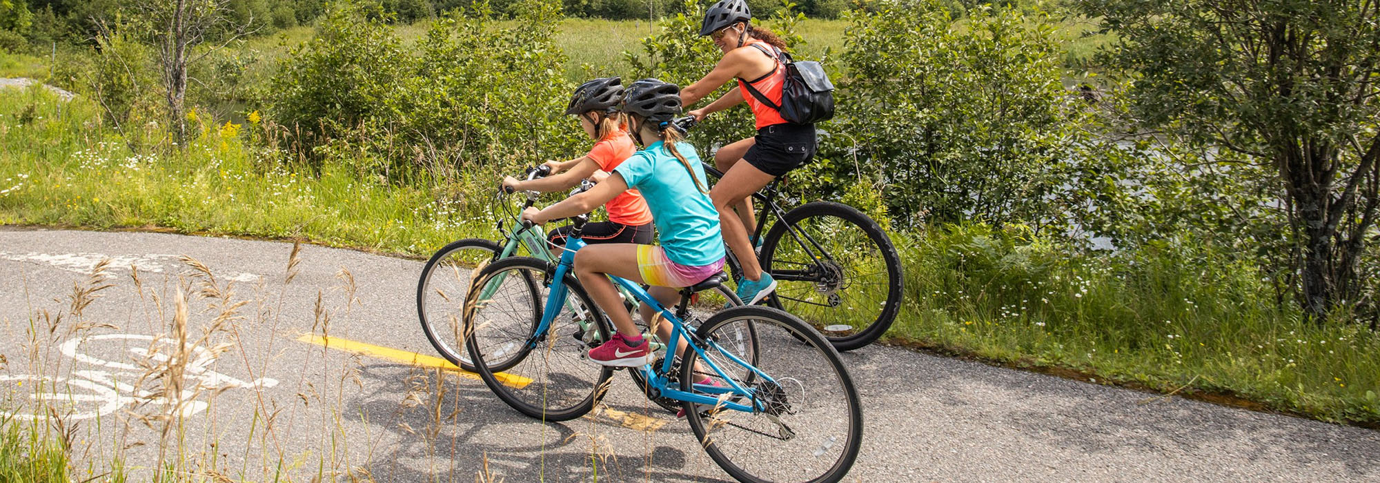 Bicycle Component Shop -Bicycle Component Shop 1